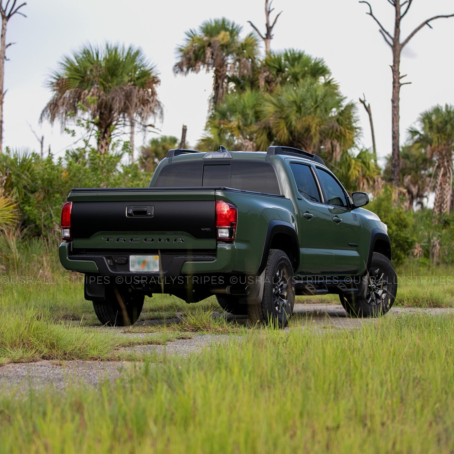 Tailgate blackout pre-cut vinyl w/ V6 badge fits 3rd Gen Toyota Tacoma